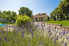 Villa Ferenc Zadarvillas, Croatia, Rovigno, Rovigno e dintorni
