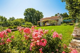 Villa Ferenc Zadarvillas, Croatia, Rovigno, Rovigno e dintorni