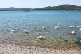 Appartamento di due stanze con terrazzo e vista mare Slosella - Pirovac, Sebenico - Šibenik (A-15403, Croatia, Slosella, Šibenik-Knin