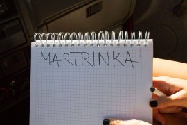 Igor 1, luminoso appartamento con una camera da letto per un massimo di 4 persone, a 150 metri dalla, Croatia, Mastrinka, Ciovo