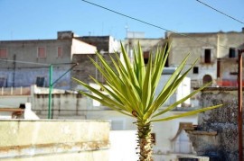 Charming 100sqm Apt with Terrace in Canosa di Puglia, Italia, Canosa di Puglia, Via Francigena