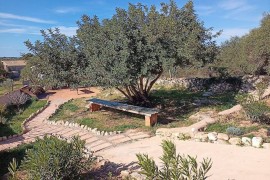 Finca with views and 10 minutes from the beach, for 6 people., Palma di Maiorca, Maiorca occidentale
