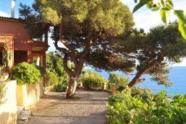 Villa Takis sulla spiaggia di Pelekas Piccola casa con giardino e vista mare, Corfù
