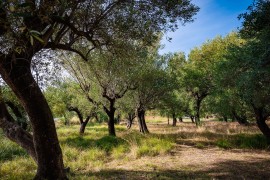 Casa vacanza per 6 persone con terrazza Casa vacanza per 6 persone con terrazza, Italy, Pisciotta, Cilento