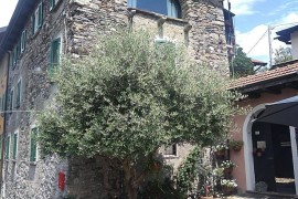 Casale in pietra del 1872 nella più totale tranquillità e pace., Italy, Colma (Cesara), Cesara