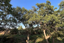 Vrbo Property, Italia, Montalbano Jonico, Piana del Metaponto