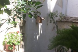 Loft in Centro& Secret Garden-Dimora San Giuliano nel centro di Martina Franca, Italia, Martina Franca, Provincia di Taranto